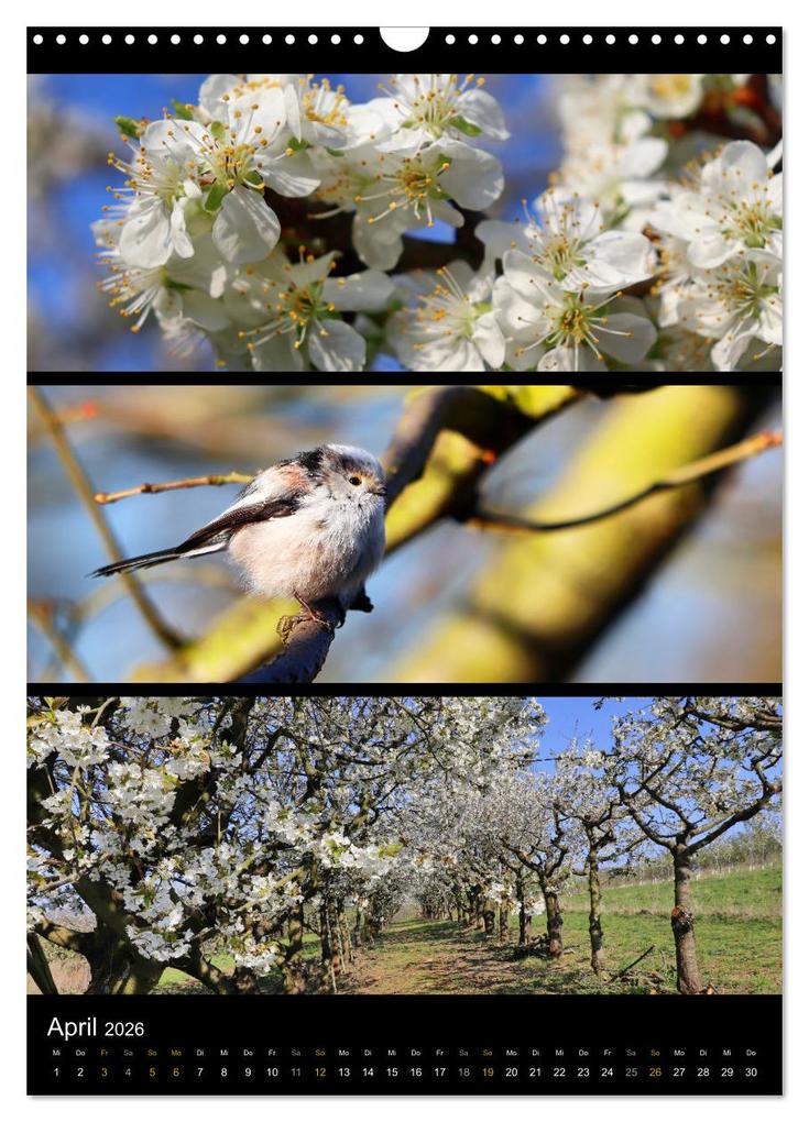 Weitere Ansicht: Bezaubernde Farben der Natur (Wandkalender 2026 DIN A3 hoch), CALVENDO Monatskalender | Sabine Löwer, Calvendo