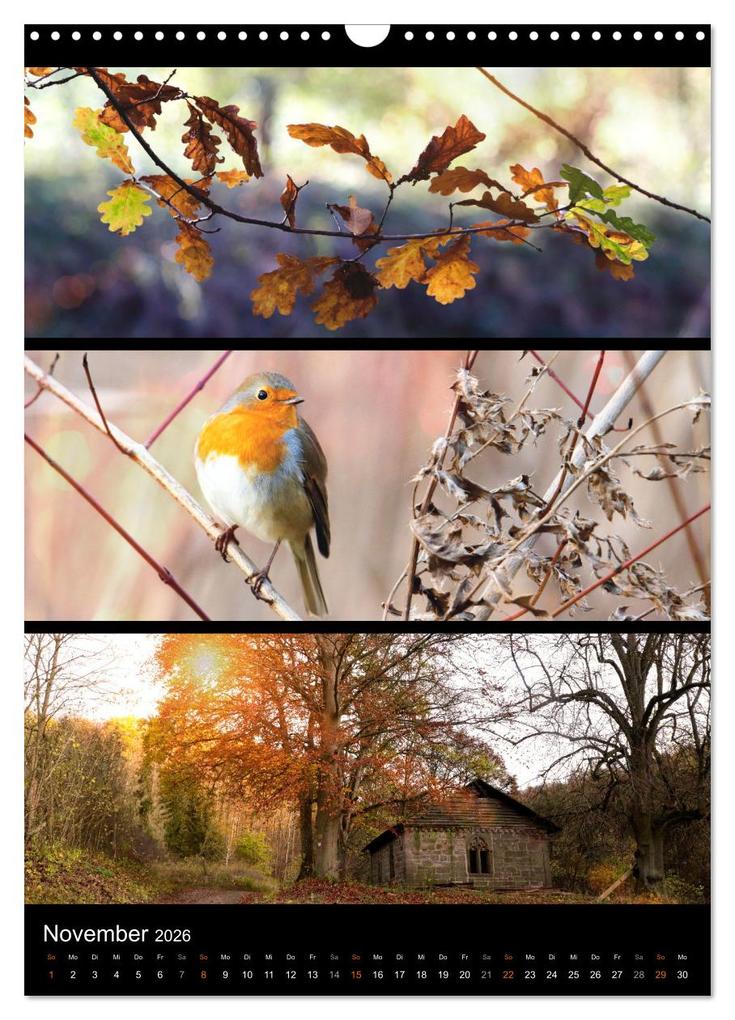 Weitere Ansicht: Bezaubernde Farben der Natur (Wandkalender 2026 DIN A3 hoch), CALVENDO Monatskalender | Sabine Löwer, Calvendo