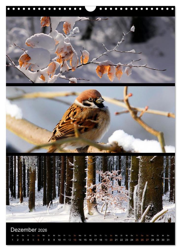 Weitere Ansicht: Bezaubernde Farben der Natur (Wandkalender 2026 DIN A3 hoch), CALVENDO Monatskalender | Sabine Löwer, Calvendo