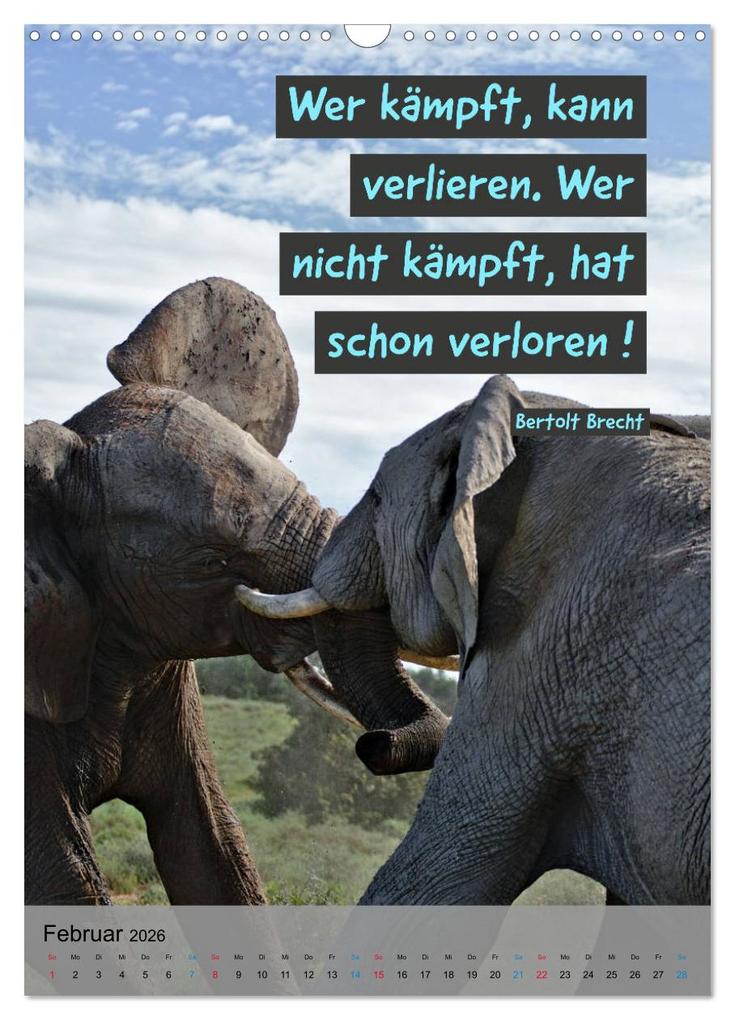 Weitere Ansicht: Aktiviere Deine Motivation Weisheiten und Sprüche (Wandkalender 2026 DIN A3 hoch), CALVENDO Monatskalender | Susan Michel, Calvendo