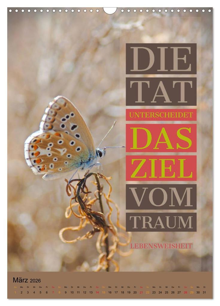 Weitere Ansicht: Aktiviere Deine Motivation Weisheiten und Sprüche (Wandkalender 2026 DIN A3 hoch), CALVENDO Monatskalender | Susan Michel, Calvendo