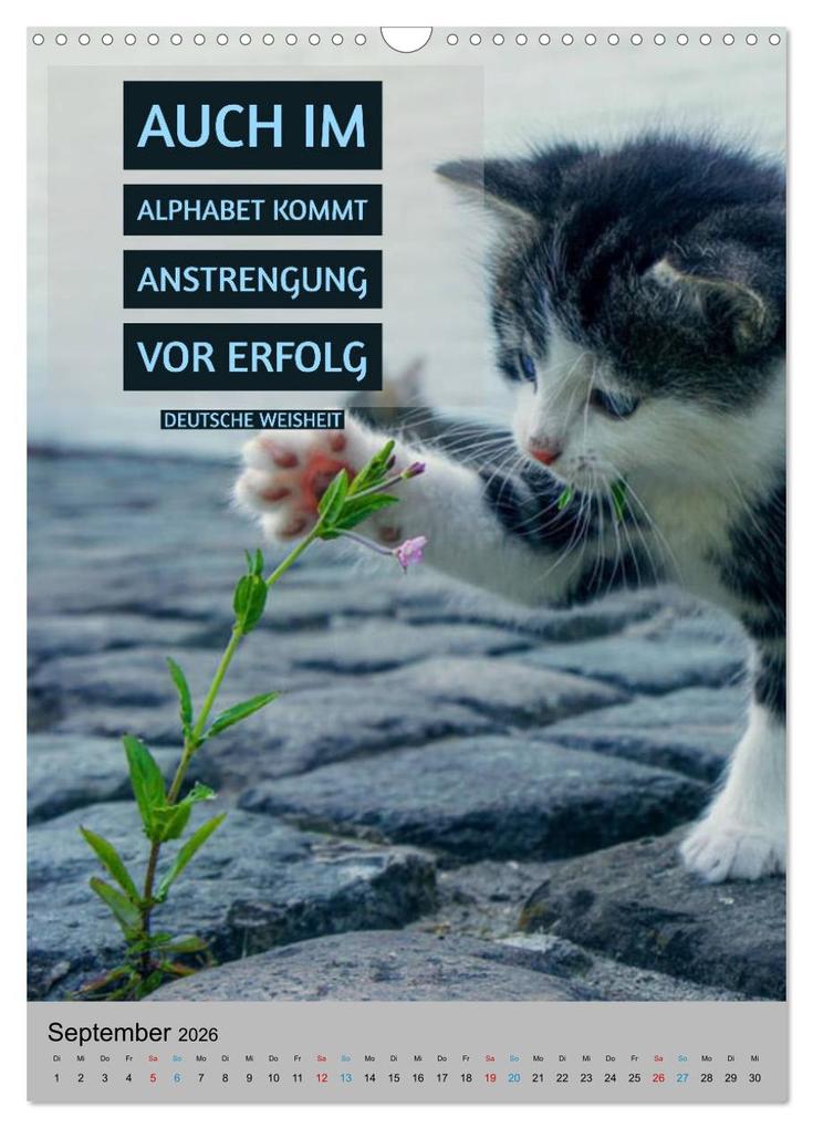 Weitere Ansicht: Aktiviere Deine Motivation Weisheiten und Sprüche (Wandkalender 2026 DIN A3 hoch), CALVENDO Monatskalender | Susan Michel, Calvendo