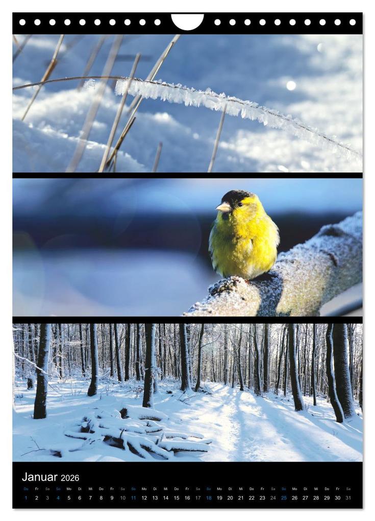 Weitere Ansicht: Bezaubernde Farben der Natur (Wandkalender 2026 DIN A4 hoch), CALVENDO Monatskalender | Sabine Löwer, Calvendo