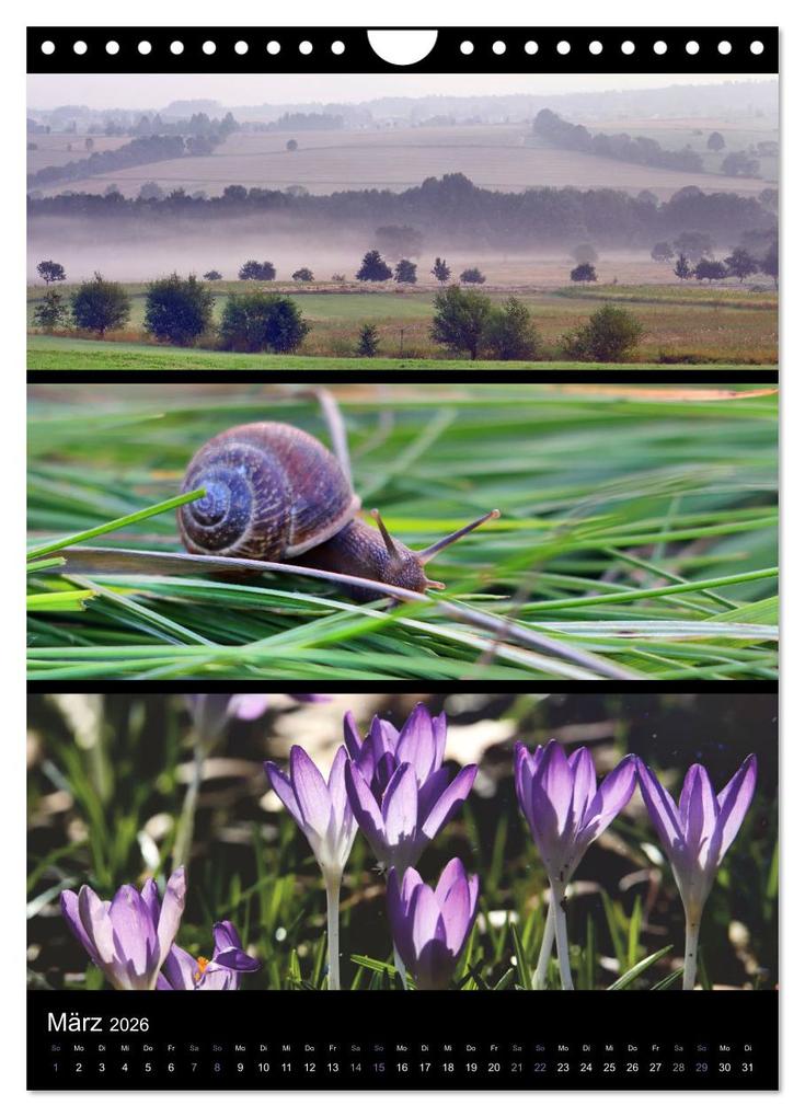 Weitere Ansicht: Bezaubernde Farben der Natur (Wandkalender 2026 DIN A4 hoch), CALVENDO Monatskalender | Sabine Löwer, Calvendo
