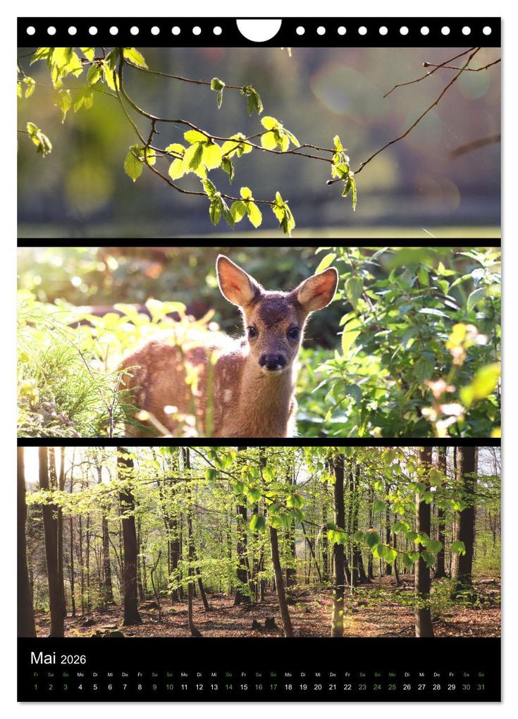 Weitere Ansicht: Bezaubernde Farben der Natur (Wandkalender 2026 DIN A4 hoch), CALVENDO Monatskalender | Sabine Löwer, Calvendo