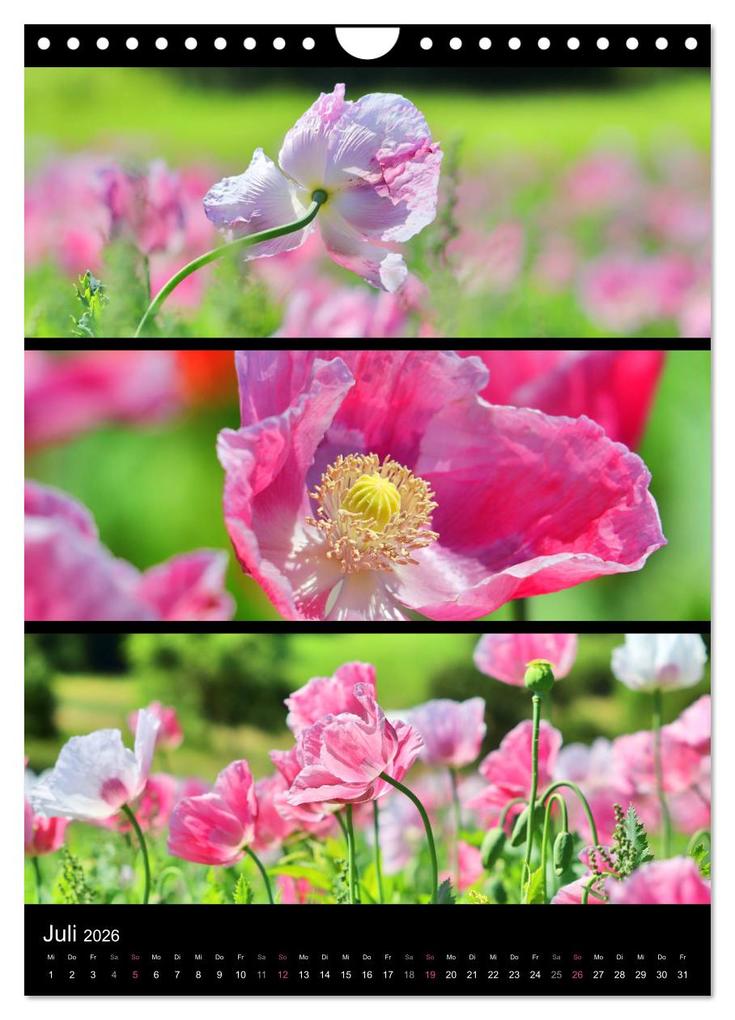 Weitere Ansicht: Bezaubernde Farben der Natur (Wandkalender 2026 DIN A4 hoch), CALVENDO Monatskalender | Sabine Löwer, Calvendo
