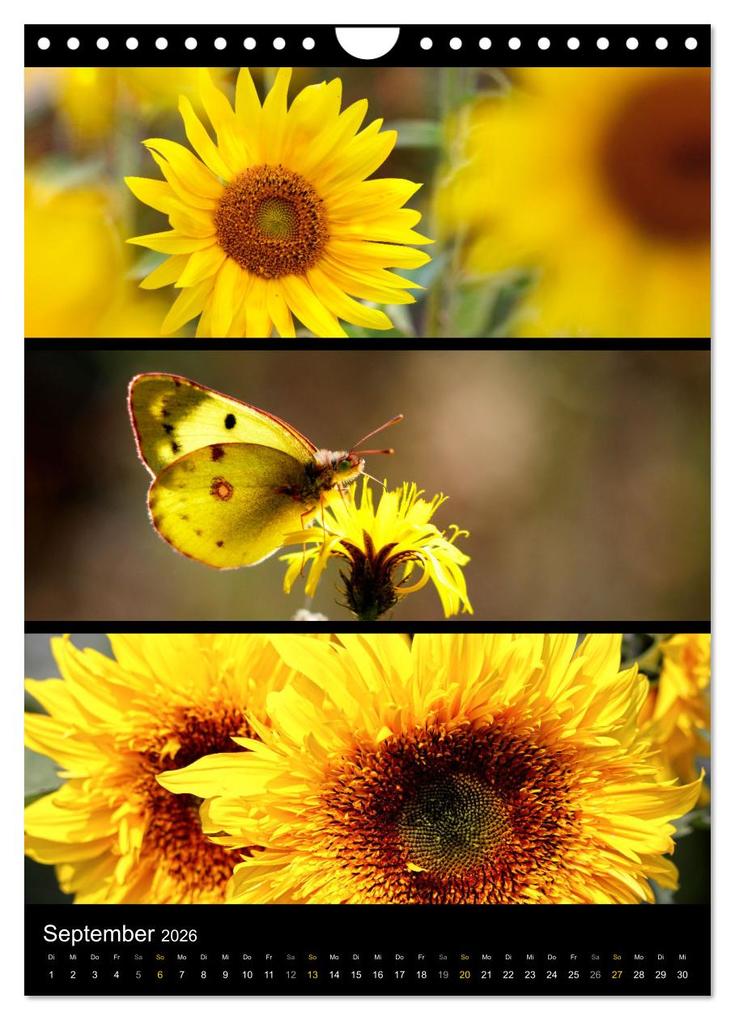 Weitere Ansicht: Bezaubernde Farben der Natur (Wandkalender 2026 DIN A4 hoch), CALVENDO Monatskalender | Sabine Löwer, Calvendo