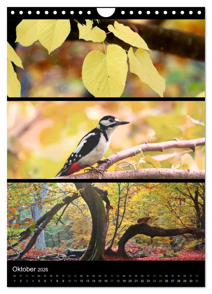 Weitere Ansicht: Bezaubernde Farben der Natur (Wandkalender 2026 DIN A4 hoch), CALVENDO Monatskalender | Sabine Löwer, Calvendo