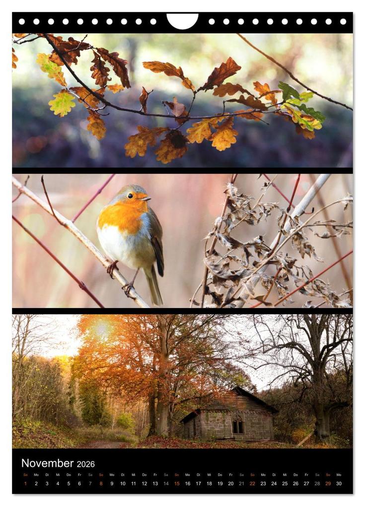 Weitere Ansicht: Bezaubernde Farben der Natur (Wandkalender 2026 DIN A4 hoch), CALVENDO Monatskalender | Sabine Löwer, Calvendo