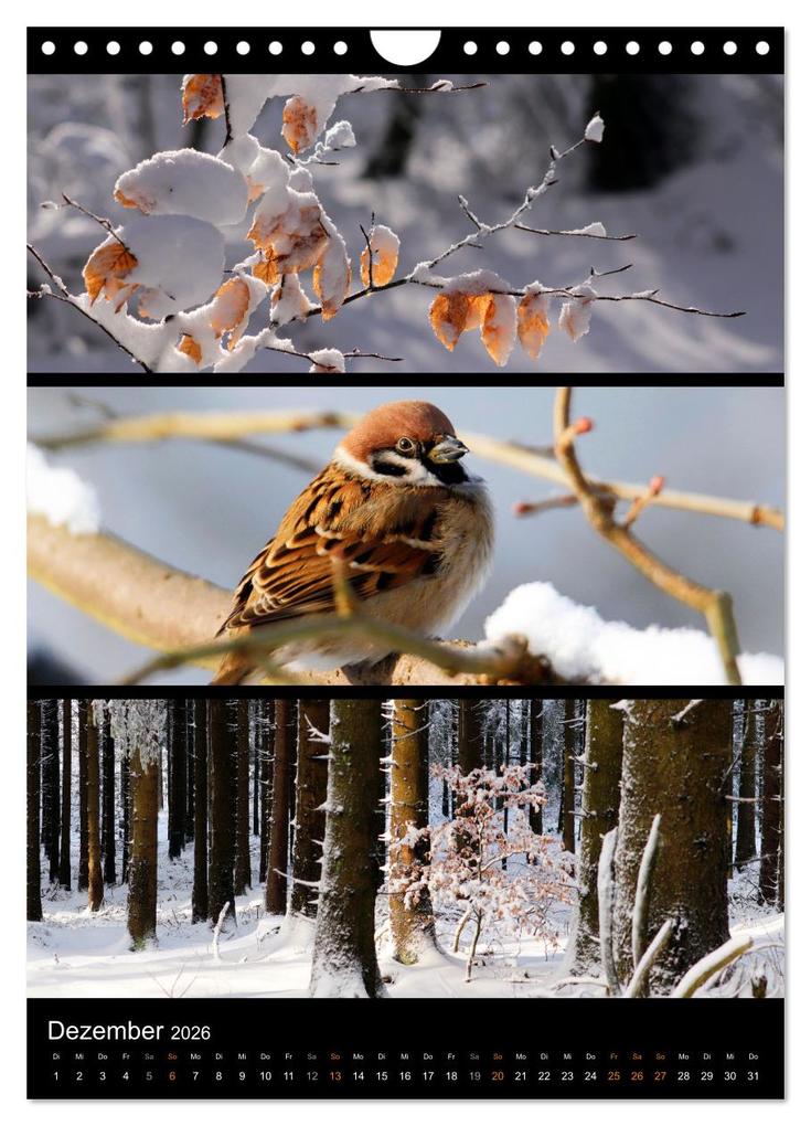 Weitere Ansicht: Bezaubernde Farben der Natur (Wandkalender 2026 DIN A4 hoch), CALVENDO Monatskalender | Sabine Löwer, Calvendo
