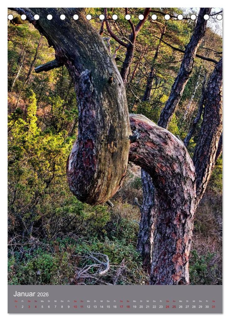 Weitere Ansicht: Schweden - Wandern in Västergötland (Tischkalender 2026 DIN A5 hoch), CALVENDO Monatskalender | Irina Gulakov, Calvendo