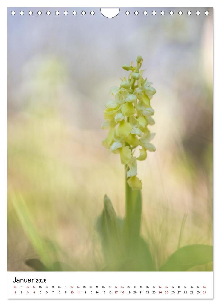 Weitere Ansicht: Thüringer Schätze (Wandkalender 2026 DIN A4 hoch), CALVENDO Monatskalender | Bernd Sprenger, Calvendo