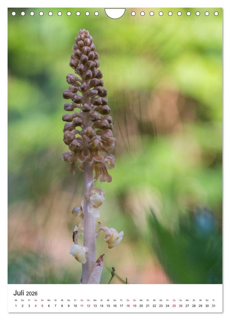Weitere Ansicht: Thüringer Schätze (Wandkalender 2026 DIN A4 hoch), CALVENDO Monatskalender | Bernd Sprenger, Calvendo