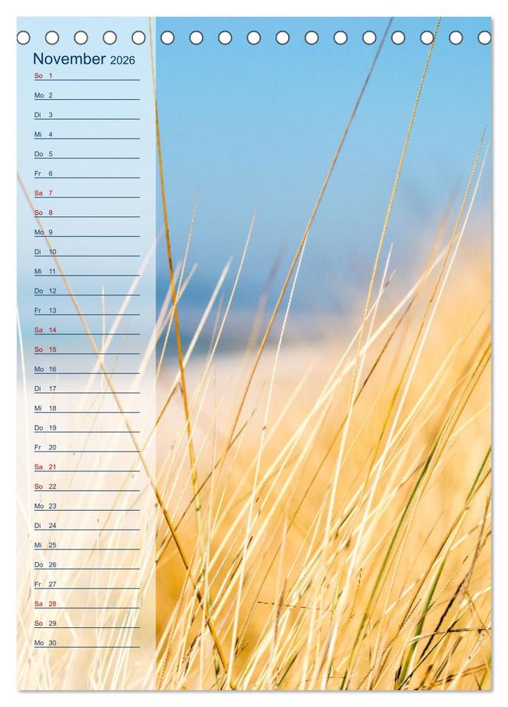 Weitere Ansicht: Maritim - Geburtstagskalender (Tischkalender 2026 DIN A5 hoch), CALVENDO Monatskalender | Carola Vahldiek, Calvendo