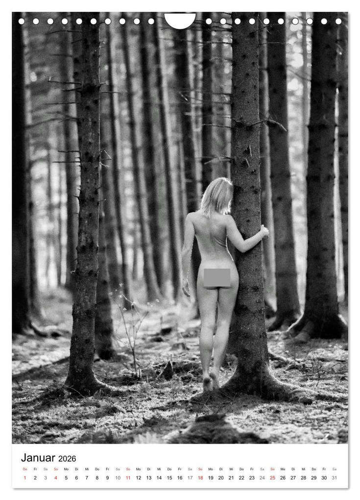 Weitere Ansicht: BaumAkte (Wandkalender 2026 DIN A4 hoch), CALVENDO Monatskalender | Thomas Bichler, Calvendo