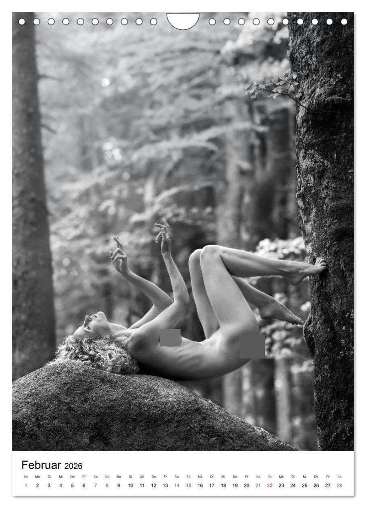 Weitere Ansicht: BaumAkte (Wandkalender 2026 DIN A4 hoch), CALVENDO Monatskalender | Thomas Bichler, Calvendo