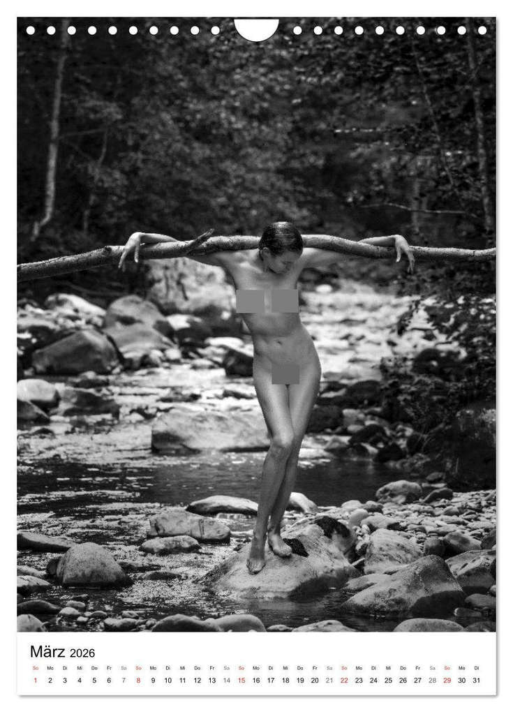 Weitere Ansicht: BaumAkte (Wandkalender 2026 DIN A4 hoch), CALVENDO Monatskalender | Thomas Bichler, Calvendo