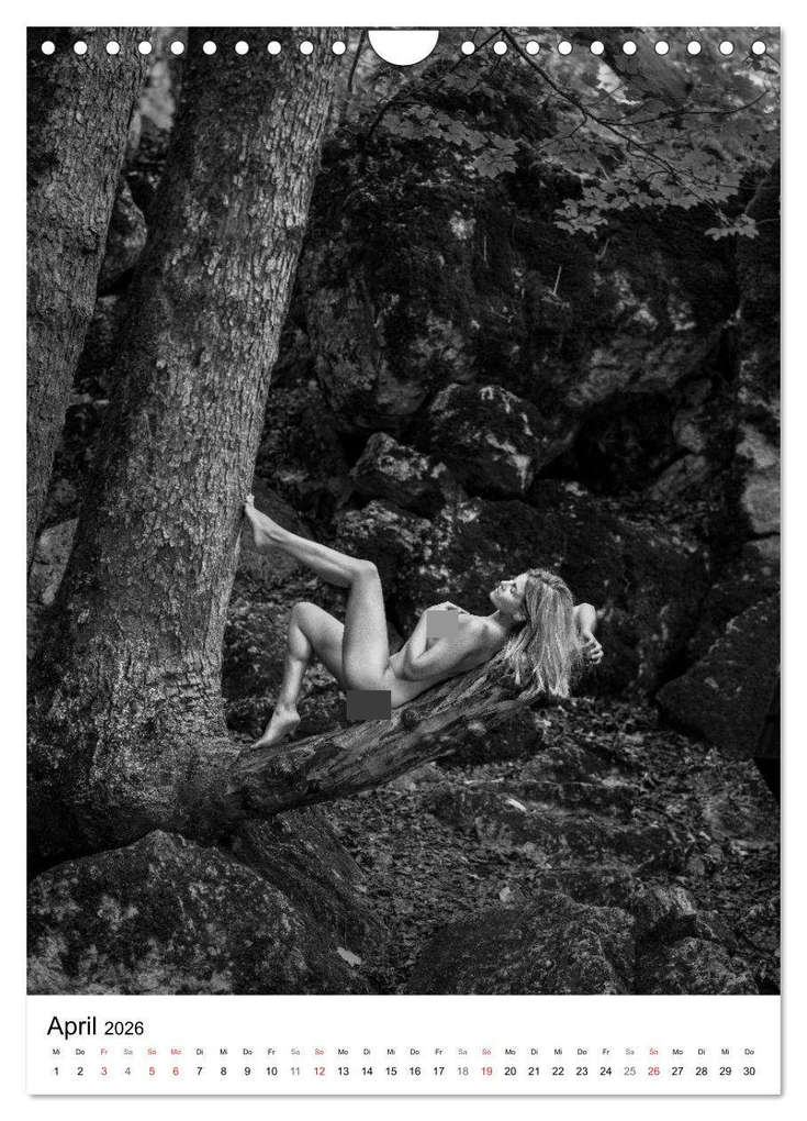 Weitere Ansicht: BaumAkte (Wandkalender 2026 DIN A4 hoch), CALVENDO Monatskalender | Thomas Bichler, Calvendo