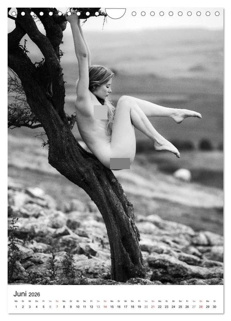 Weitere Ansicht: BaumAkte (Wandkalender 2026 DIN A4 hoch), CALVENDO Monatskalender | Thomas Bichler, Calvendo