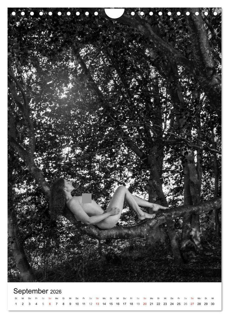 Weitere Ansicht: BaumAkte (Wandkalender 2026 DIN A4 hoch), CALVENDO Monatskalender | Thomas Bichler, Calvendo