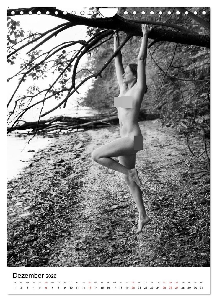 Weitere Ansicht: BaumAkte (Wandkalender 2026 DIN A4 hoch), CALVENDO Monatskalender | Thomas Bichler, Calvendo