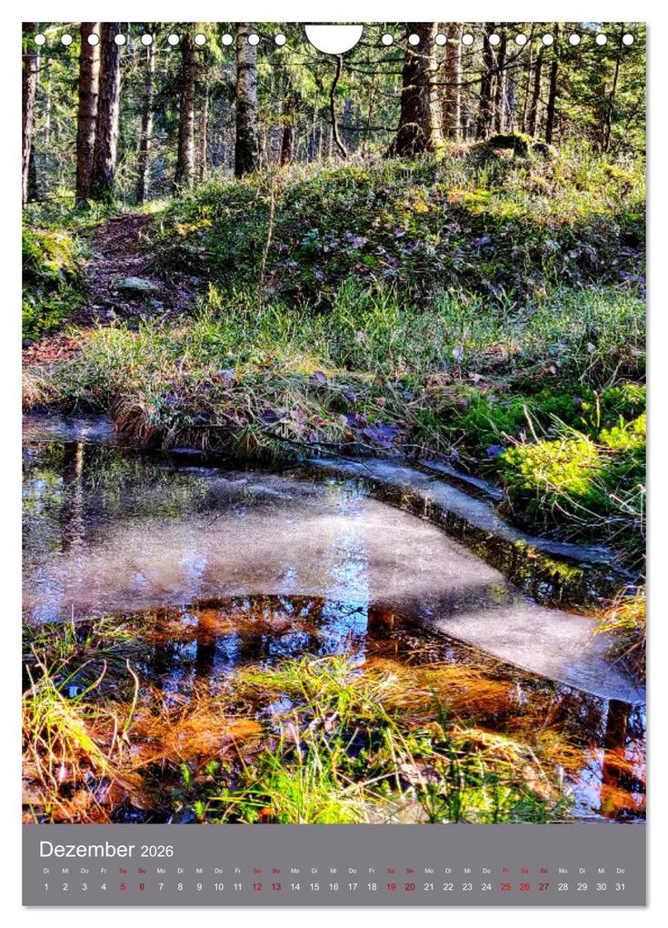 Weitere Ansicht: Schweden - Wandern in Västergötland (Wandkalender 2026 DIN A4 hoch), CALVENDO Monatskalender | Irina Gulakov, Calvendo