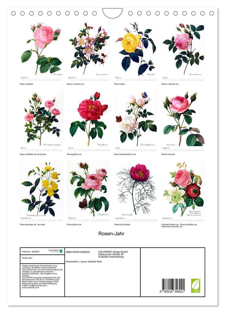 Weitere Ansicht: Rosen-Jahr (Wandkalender 2026 DIN A4 hoch), CALVENDO Monatskalender | bilwissedition, Layout: Babette Reek, Calvendo
