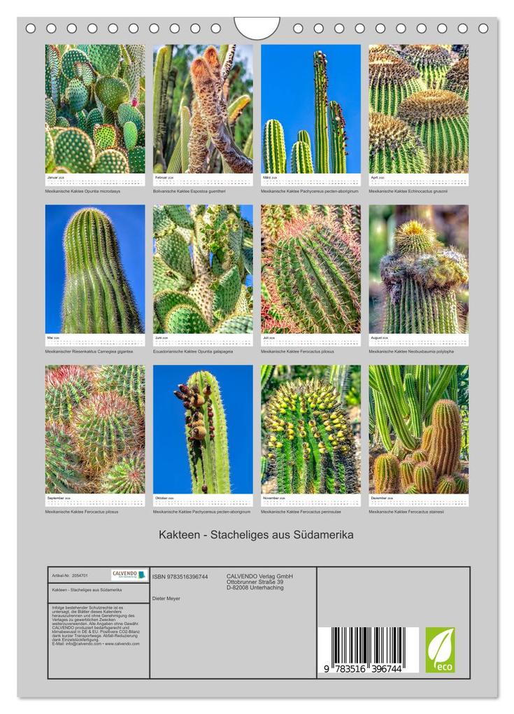 Weitere Ansicht: Kakteen - Stacheliges aus Südamerika (Wandkalender 2026 DIN A4 hoch), CALVENDO Monatskalender | Calvendo, Dieter Meyer