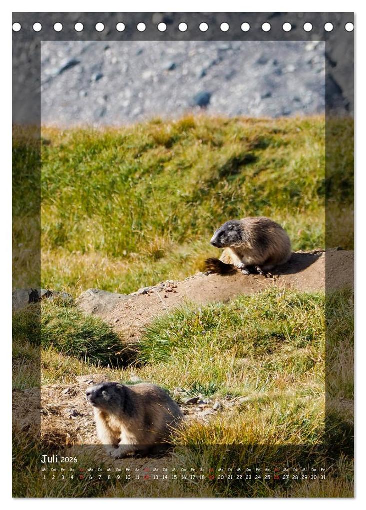 Weitere Ansicht: Bergwelten Wandkalender (Tischkalender 2026 DIN A5 hoch), CALVENDO Monatskalender | Calvendo, Fotografin Miriam Schwarzfischer