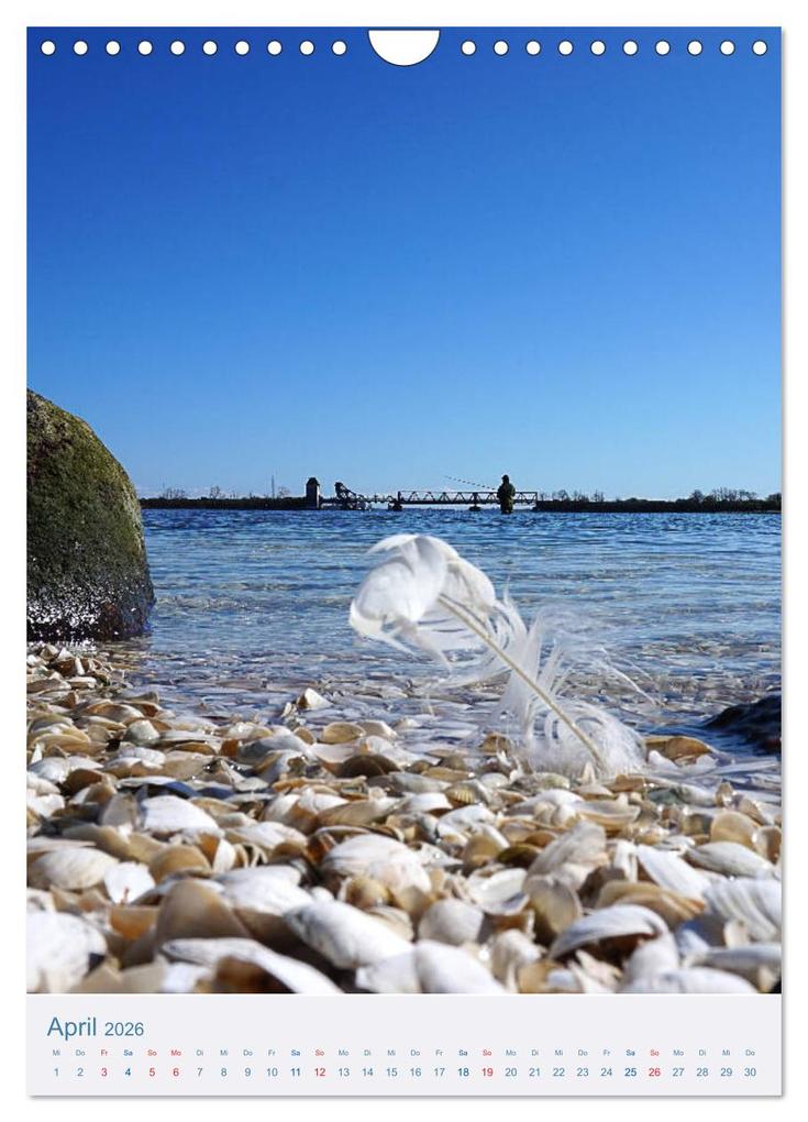 Weitere Ansicht: Kappeln und Schlei (Wandkalender 2026 DIN A4 hoch), CALVENDO Monatskalender | Calvendo, Ute Jackisch