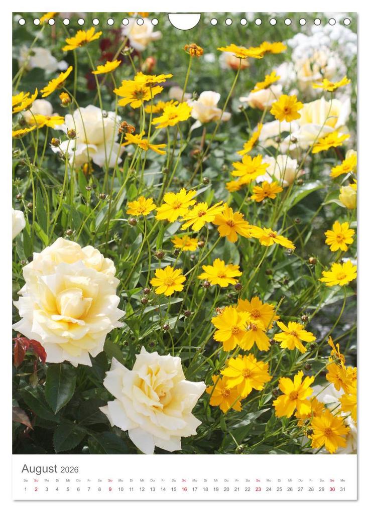 Weitere Ansicht: Glücklich mit Rosen (Wandkalender 2026 DIN A4 hoch), CALVENDO Monatskalender | Calvendo, Gisela Kruse