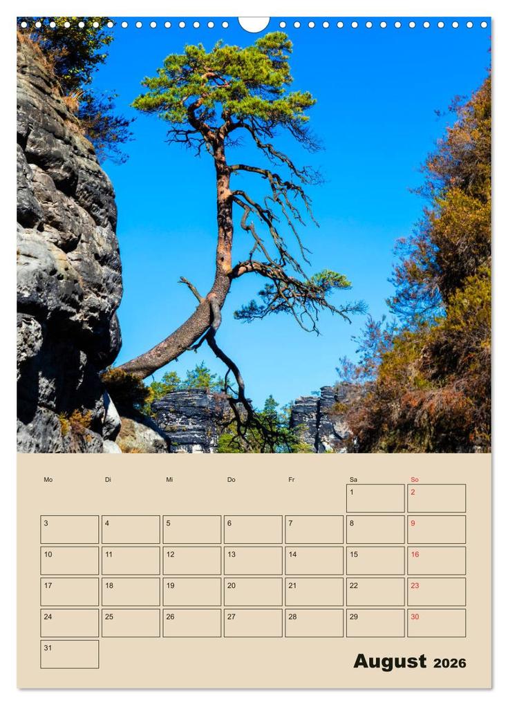 Weitere Ansicht: Zauberhafte Sächsische Schweiz (Wandkalender 2026 DIN A3 hoch), CALVENDO Monatskalender | Calvendo, Janita Webeler