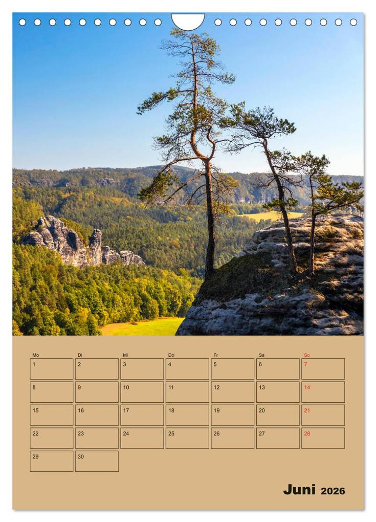 Weitere Ansicht: Zauberhafte Sächsische Schweiz (Wandkalender 2026 DIN A4 hoch), CALVENDO Monatskalender | Calvendo, Janita Webeler