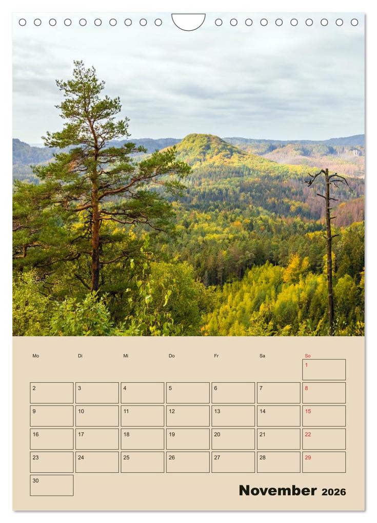 Weitere Ansicht: Zauberhafte Sächsische Schweiz (Wandkalender 2026 DIN A4 hoch), CALVENDO Monatskalender | Calvendo, Janita Webeler