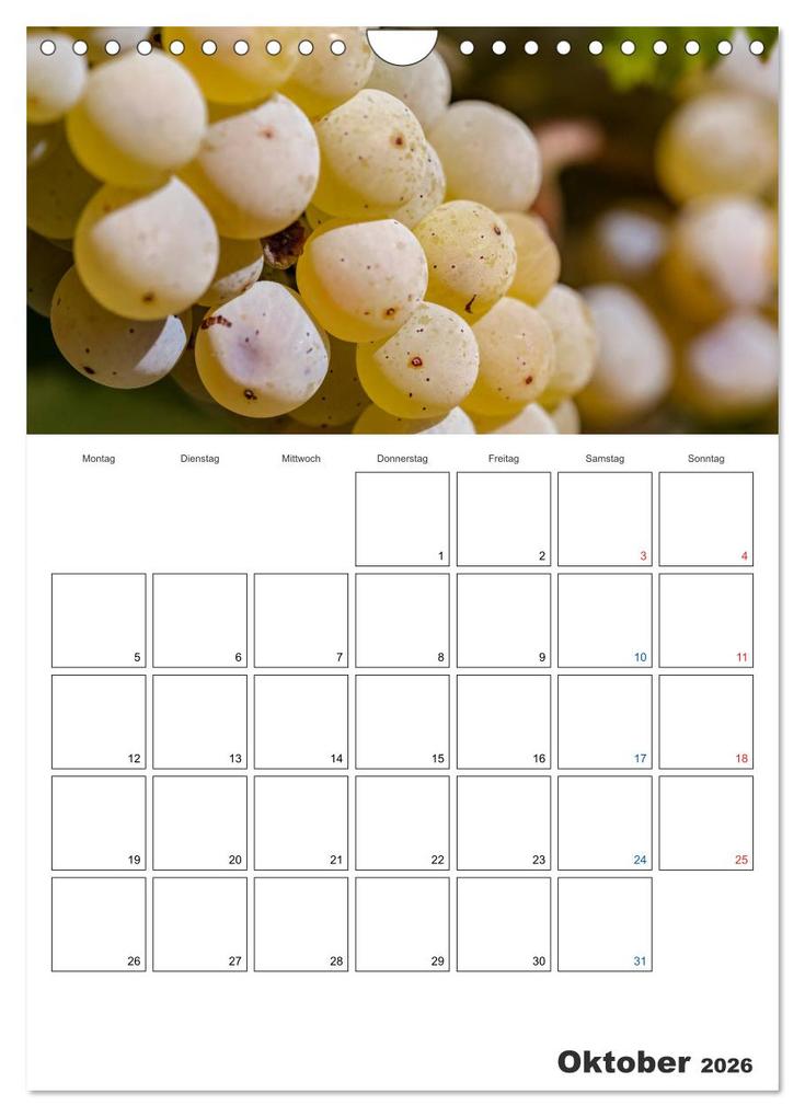 Weitere Ansicht: Rheingau Terminplaner (Wandkalender 2026 DIN A4 hoch), CALVENDO Monatskalender | Dieter Meyer, Calvendo