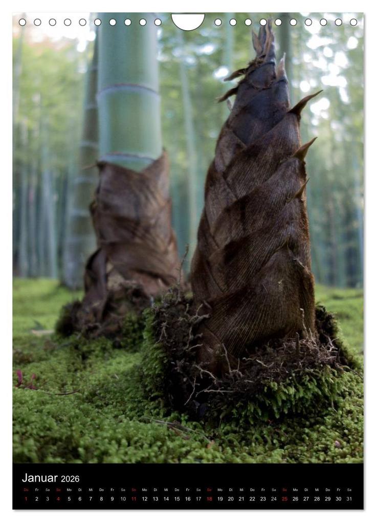 Weitere Ansicht: Japan im Blickpunkt (Wandkalender 2026 DIN A4 hoch), CALVENDO Monatskalender | Nina Karin Neumann, Calvendo