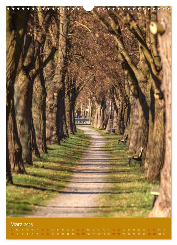 Weitere Ansicht: Kitzingen im Hochformat (Wandkalender 2026 DIN A3 hoch), CALVENDO Monatskalender | Hans Will, Calvendo