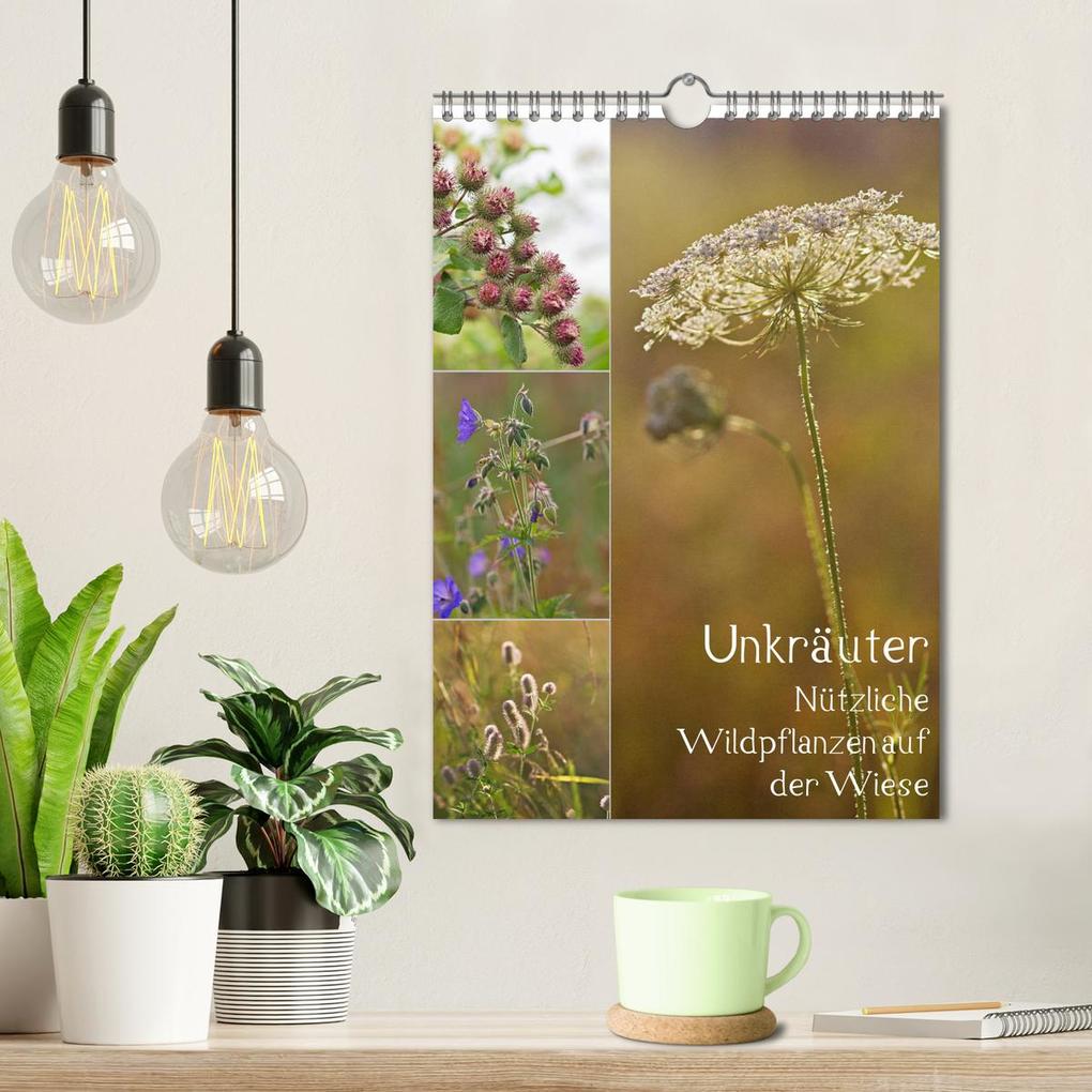 Weitere Ansicht: Unkräuter - Nützliche Wildpflanzen auf der Wiese (Wandkalender 2026 DIN A4 hoch), CALVENDO Monatskalender | Drachenkind-Fotografie Drachenkind-Fotografie, Calvendo, Drachenkind-Fotografie
