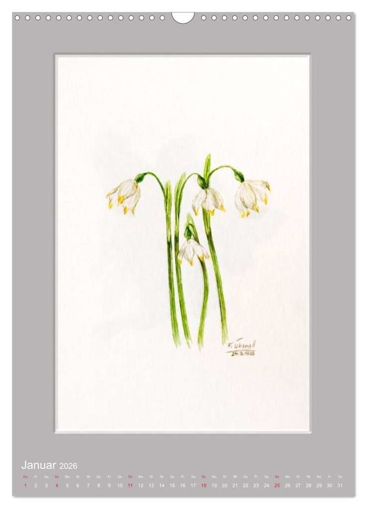 Weitere Ansicht: Alpenblumen Aquarelle aus Tirol (Wandkalender 2026 DIN A3 hoch), CALVENDO Monatskalender | Peter Überall, Calvendo