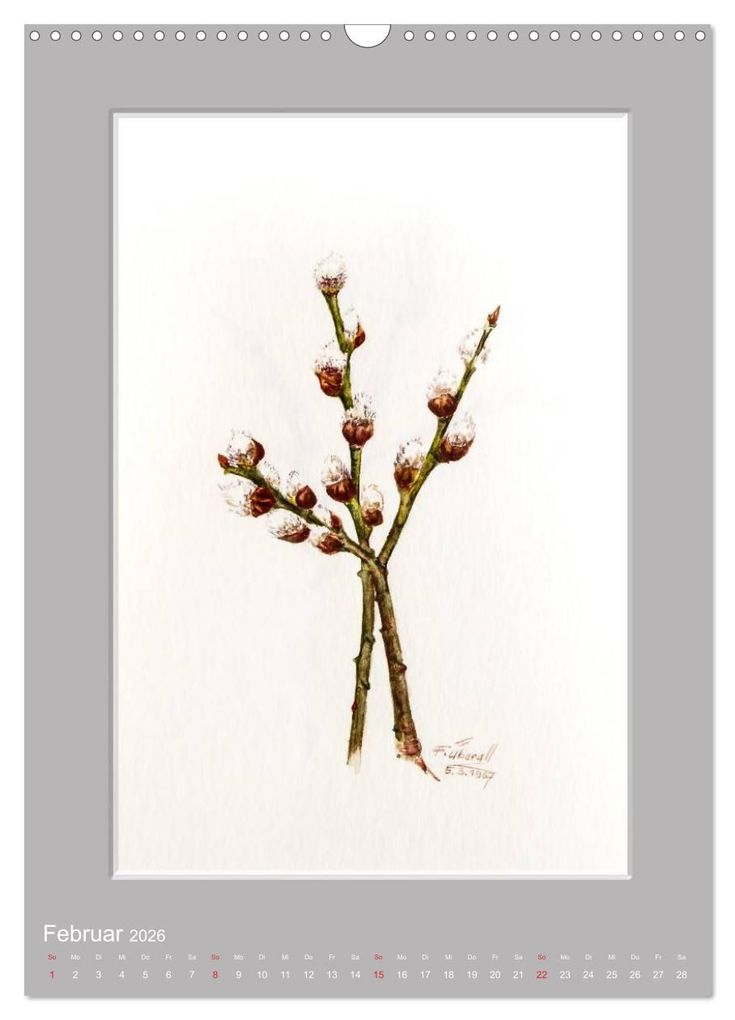 Weitere Ansicht: Alpenblumen Aquarelle aus Tirol (Wandkalender 2026 DIN A3 hoch), CALVENDO Monatskalender | Peter Überall, Calvendo