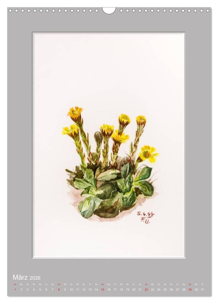 Weitere Ansicht: Alpenblumen Aquarelle aus Tirol (Wandkalender 2026 DIN A3 hoch), CALVENDO Monatskalender | Peter Überall, Calvendo