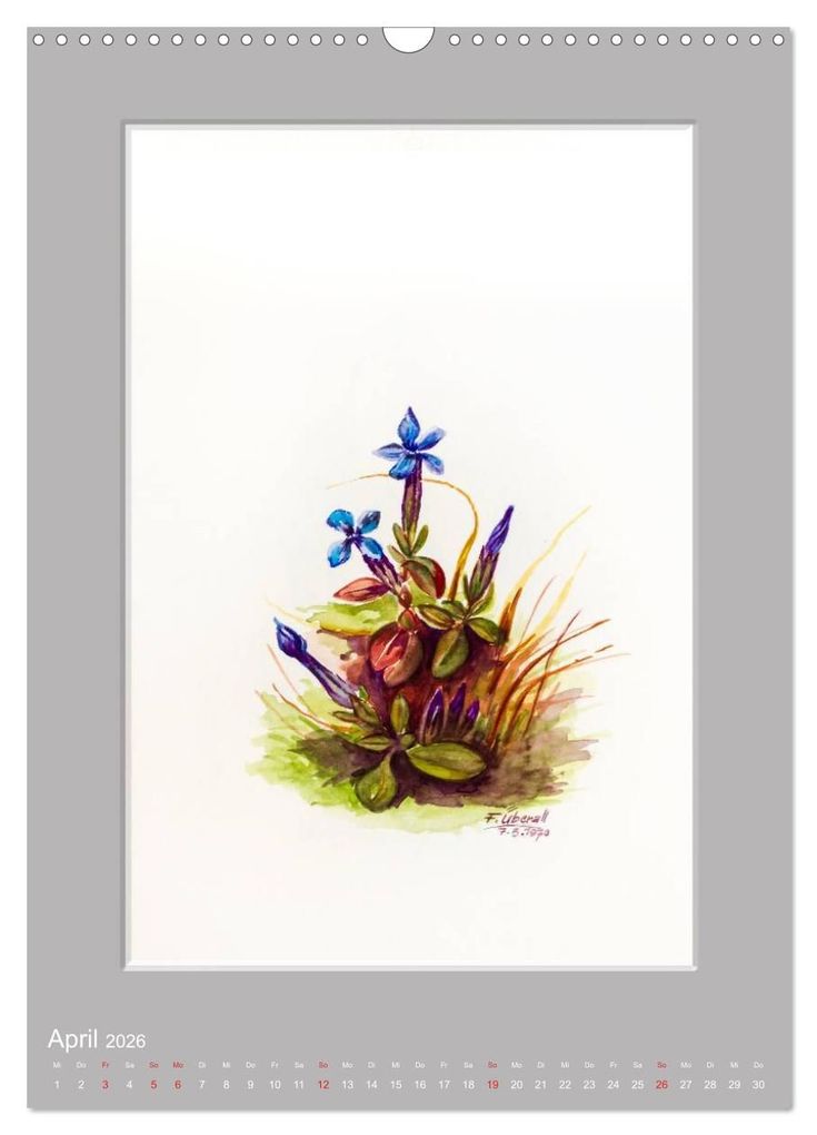 Weitere Ansicht: Alpenblumen Aquarelle aus Tirol (Wandkalender 2026 DIN A3 hoch), CALVENDO Monatskalender | Peter Überall, Calvendo