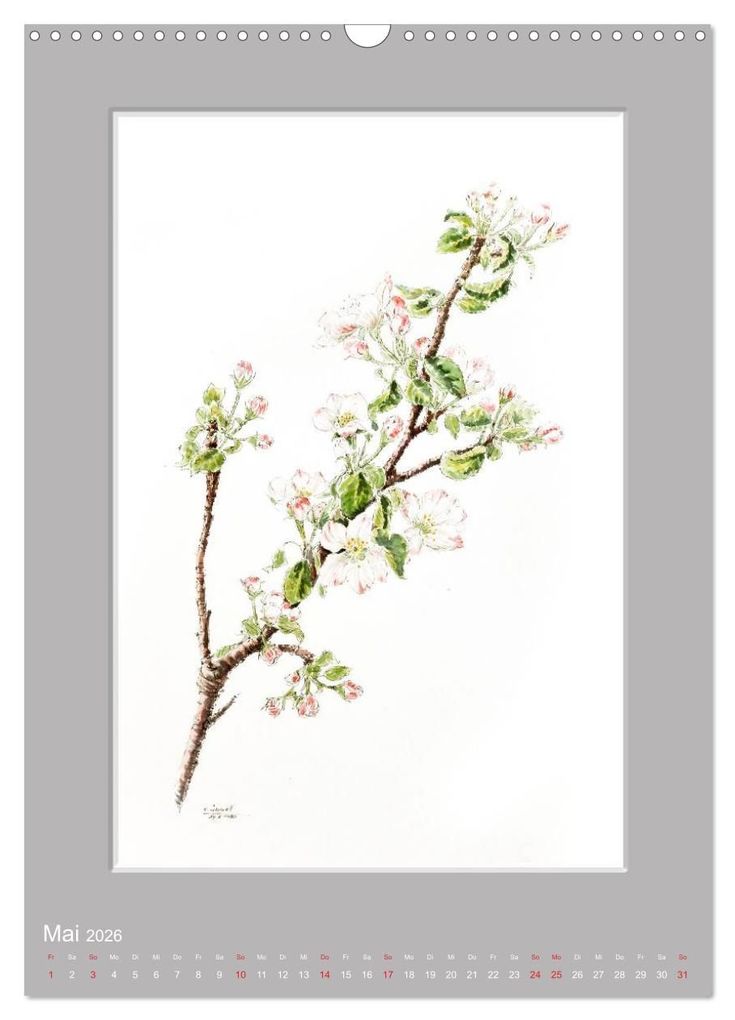 Weitere Ansicht: Alpenblumen Aquarelle aus Tirol (Wandkalender 2026 DIN A3 hoch), CALVENDO Monatskalender | Peter Überall, Calvendo
