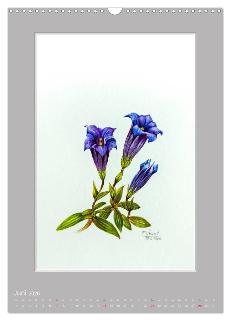 Weitere Ansicht: Alpenblumen Aquarelle aus Tirol (Wandkalender 2026 DIN A3 hoch), CALVENDO Monatskalender | Peter Überall, Calvendo