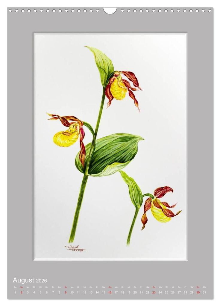 Weitere Ansicht: Alpenblumen Aquarelle aus Tirol (Wandkalender 2026 DIN A3 hoch), CALVENDO Monatskalender | Peter Überall, Calvendo