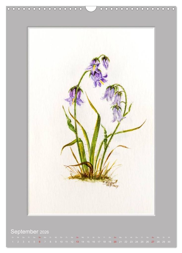 Weitere Ansicht: Alpenblumen Aquarelle aus Tirol (Wandkalender 2026 DIN A3 hoch), CALVENDO Monatskalender | Peter Überall, Calvendo