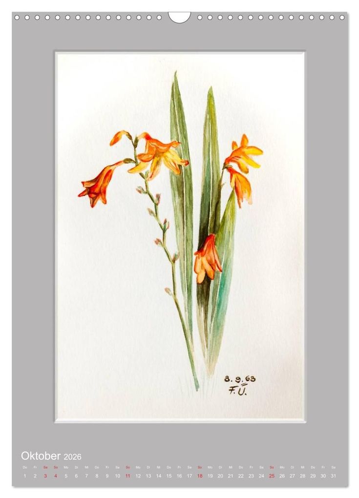 Weitere Ansicht: Alpenblumen Aquarelle aus Tirol (Wandkalender 2026 DIN A3 hoch), CALVENDO Monatskalender | Peter Überall, Calvendo