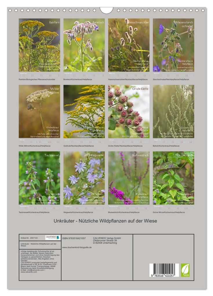 Weitere Ansicht: Unkräuter - Nützliche Wildpflanzen auf der Wiese (Wandkalender 2026 DIN A3 hoch), CALVENDO Monatskalender | Drachenkind-Fotografie Drachenkind-Fotografie, Calvendo, Drachenkind-Fotografie