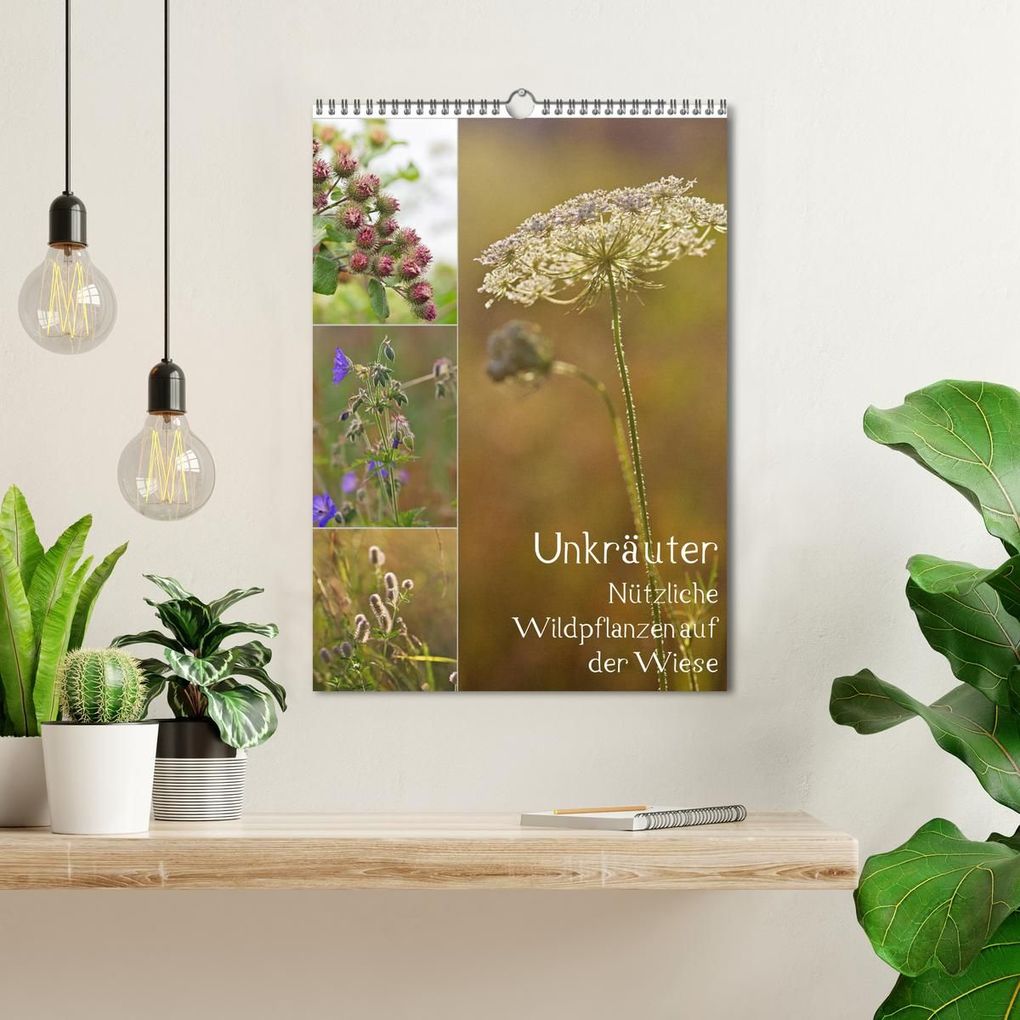 Weitere Ansicht: Unkräuter - Nützliche Wildpflanzen auf der Wiese (Wandkalender 2026 DIN A3 hoch), CALVENDO Monatskalender | Drachenkind-Fotografie Drachenkind-Fotografie, Calvendo, Drachenkind-Fotografie