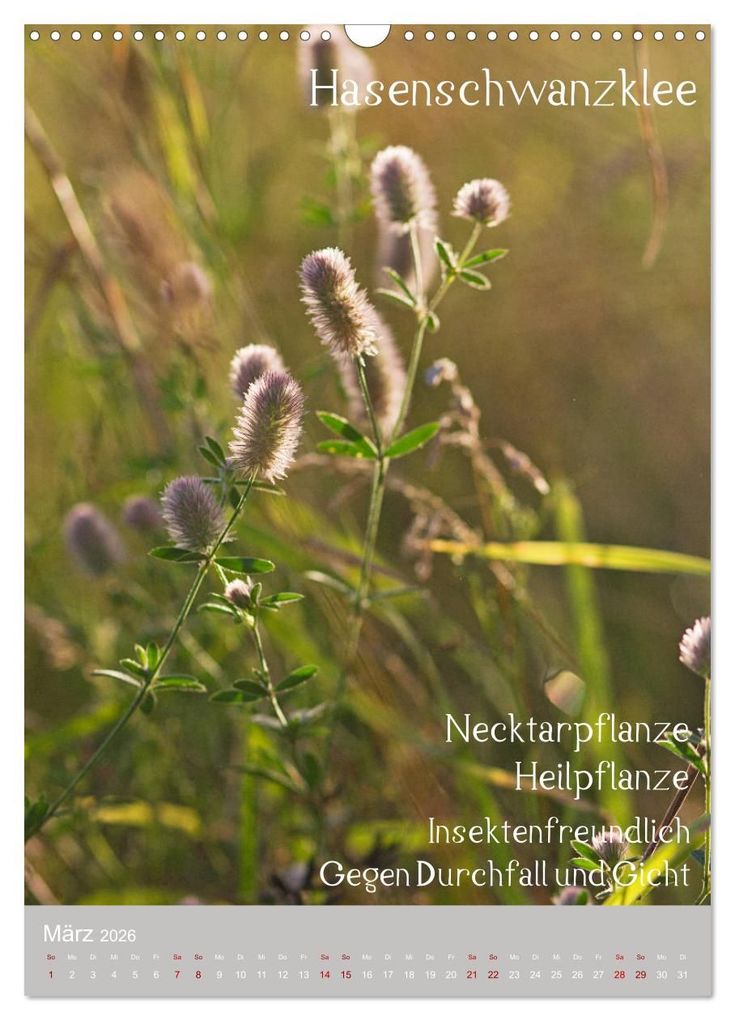 Weitere Ansicht: Unkräuter - Nützliche Wildpflanzen auf der Wiese (Wandkalender 2026 DIN A3 hoch), CALVENDO Monatskalender | Drachenkind-Fotografie Drachenkind-Fotografie, Calvendo, Drachenkind-Fotografie